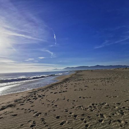 Appartement Vue Mer 212 Canet-en-Roussillon Esterno foto